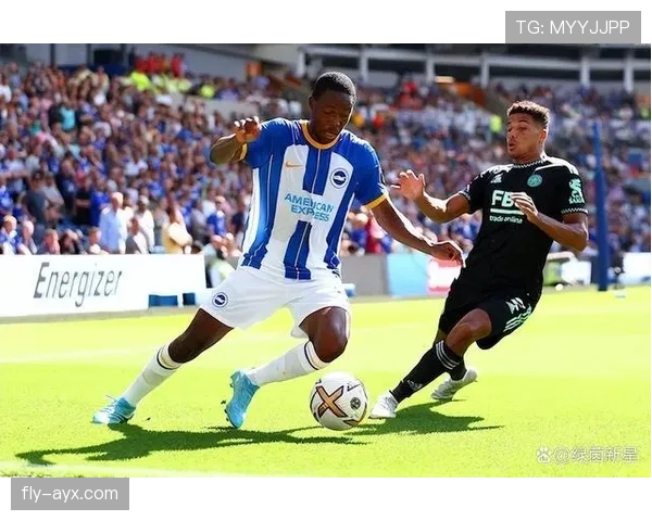 布莱顿传奇球员回归俱乐部，助力青训开启新篇章