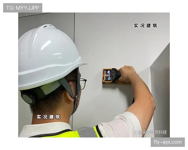 赖斯技术细节曝光:新方法显著提升全球网络安全稳定性 赖斯技术细节曝光:新方法显著提升全球网络安全稳定性