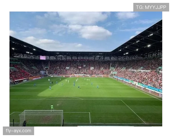 德甲大众竞技场