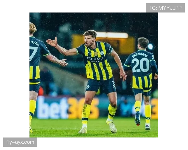 鲁本·迪亚斯:长期稳定输出的顶级中卫解析